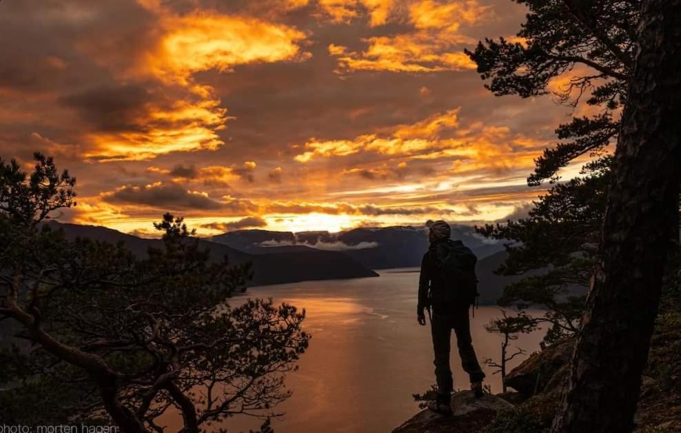 Nedre Amla Fjord Apartment Kaupanger Bagian luar foto