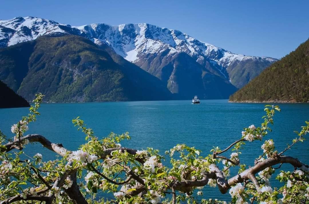 Nedre Amla Fjord Apartment Kaupanger Bagian luar foto