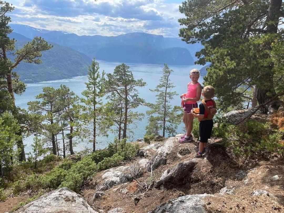 Nedre Amla Fjord Apartment Kaupanger Bagian luar foto